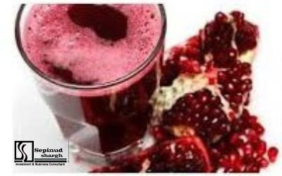 Technical, Financial Feasibility Study and Planning Justification Report of Establishing production Unit of Pomegranate products